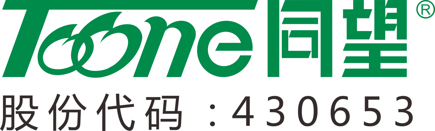 项目经理视角下的企业信息化工程设计 从战略对齐到落地交付