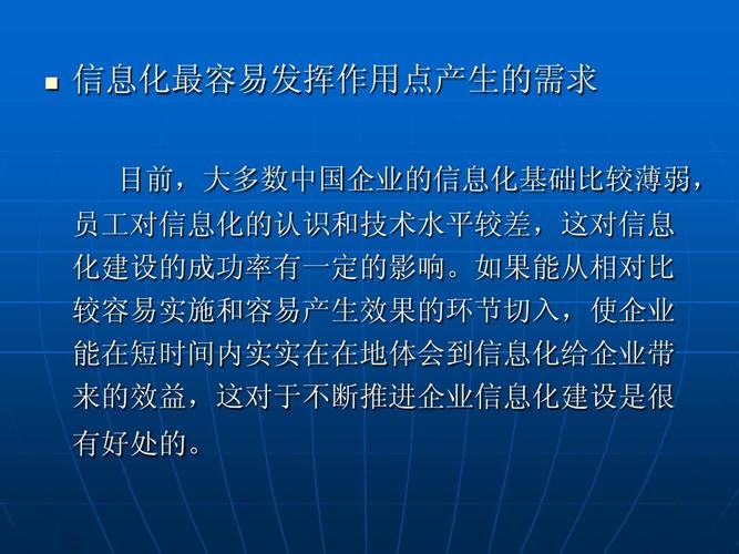 企业信息化工程的设计 从需求分析到蓝图规划